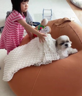 コロちゃんは寝かされる役