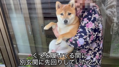 軽々とひまりちゃんを抱っこ