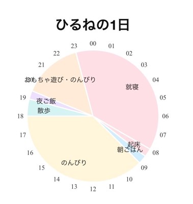 1日の