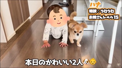赤ちゃんから離れないハナちゃん