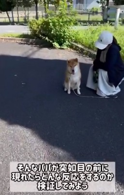 近づいていくパパ