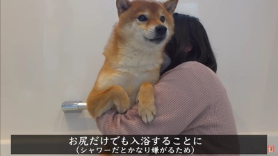 お風呂は苦手なはちちゃん