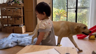ゴンちゃんが移動すると…