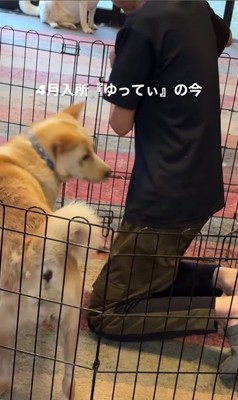 ゆってぃ君の変化4