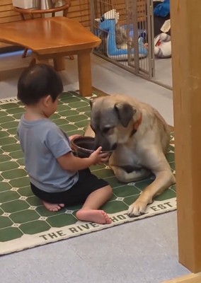 ご飯を食べさせる男の子
