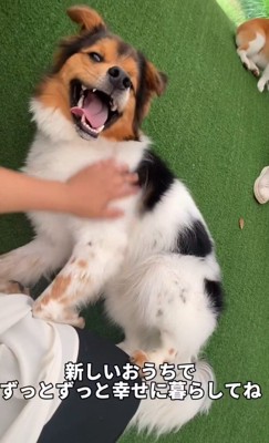 いつまでも幸せに…