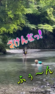 アーロンくんと川遊び中の出来事⑩