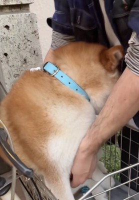 抱っこ回避中…