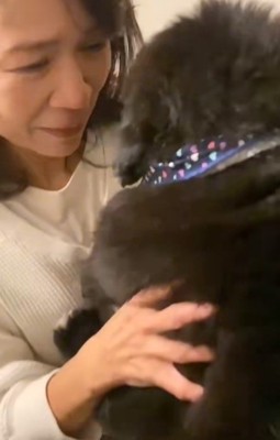 ずっと気になっていた…