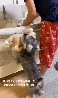 「触ると安心するよ！」