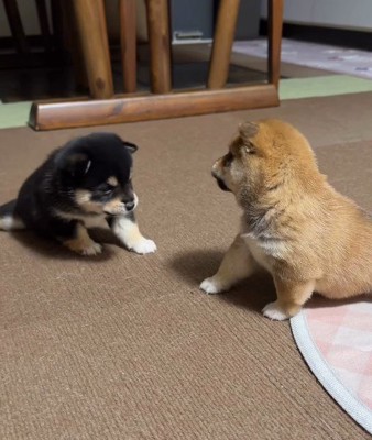 間合いも完璧です♡