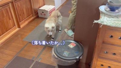 じっとそばにいた