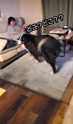 お姉ちゃんが帰省した時の眞秋くん3