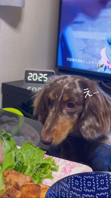 唐揚げを盗む犬