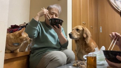 「我々にも何かくれ」とおねだり中