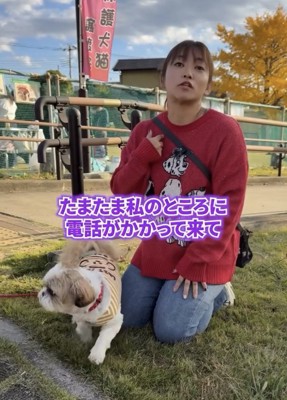 女性の横で立ち上がろうとする犬