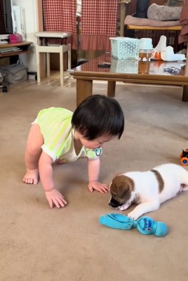 大夢くんとお孫さん