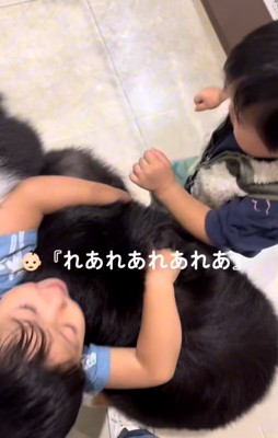 犬をぎゅっと抱きしめる兄弟