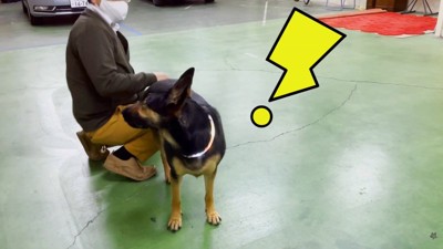 「えっ、今おしり叩いた…!?」