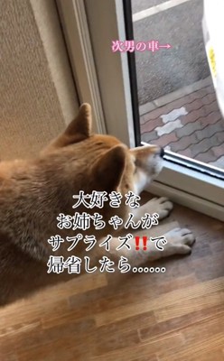 伸びをする朔くん