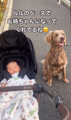 ルルちゃんと赤ちゃん9