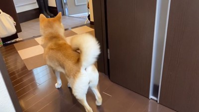 「休日なのにお仕事行っちゃうの…?」