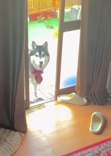 どうせ捕まえるんでしょ?