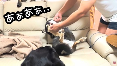 お父さんの先制攻撃！