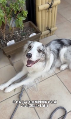 完璧に案内できました