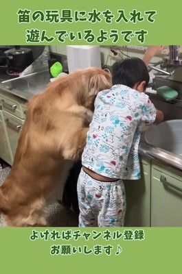 こっそりと観察してみると…