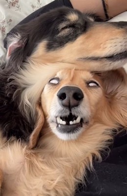 白目＆歯がむき出し！