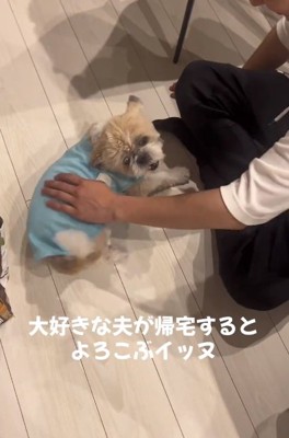 パパの帰宅を歓迎するワンコ