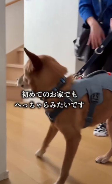 すぐに馴染んだ！！