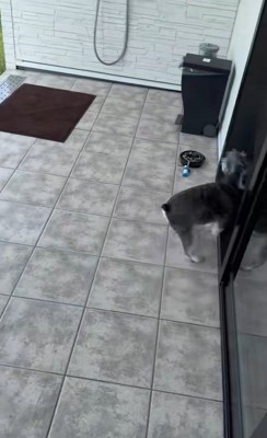 ボール遊び中のハプニング5