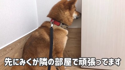 「みくちゃん大丈夫かな？」