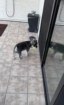 ボール遊び中のハプニング7