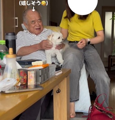 至近距離に座る女性に威嚇する小型犬