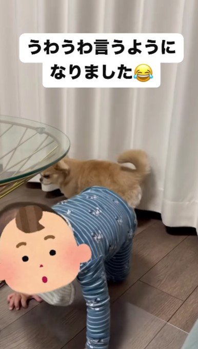 受け継がれた遠吠え