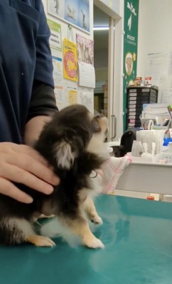 ママも心配してる