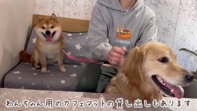 家族みんなでカフェへ