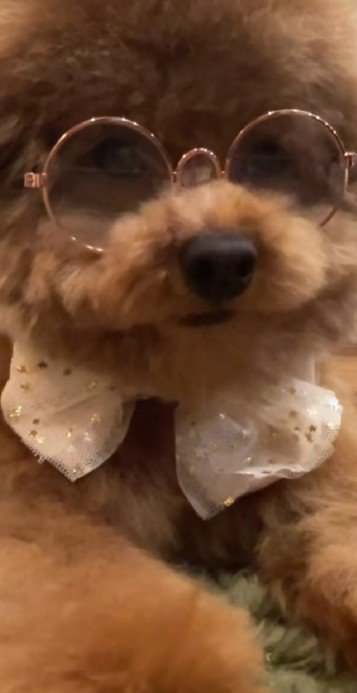 人間っぽさ爆上がり!