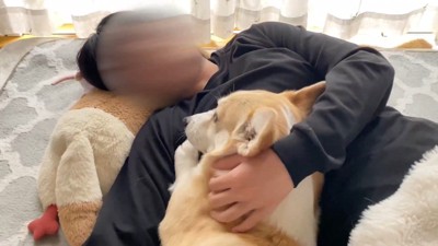 ご要望に応えてなでなで…