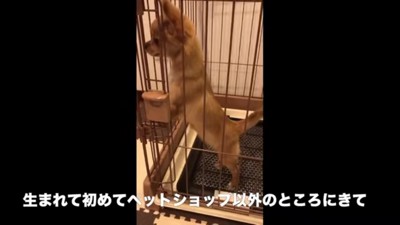 緊張していたけれど…