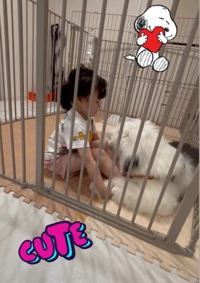 娘さんのことがお気に入り