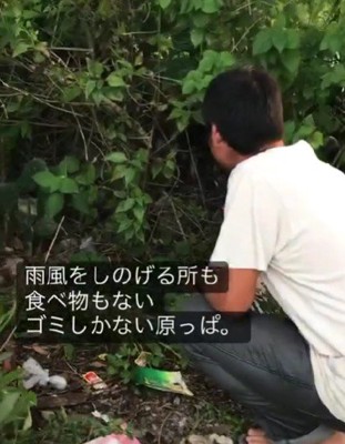 周りはゴミしかない…