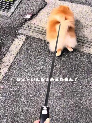 方向転換して逃亡！！