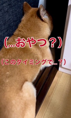 おやつ？このタイミングで？