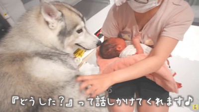 優しさあふれるもんちゃん
