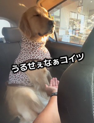 頑なに相手しない