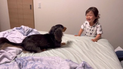 無邪気にじゃれあったり…